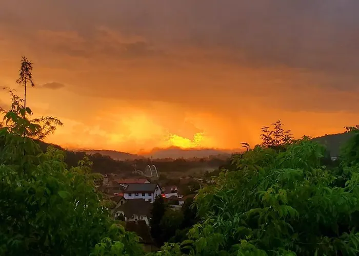 Pensiunea LelilaPensiune